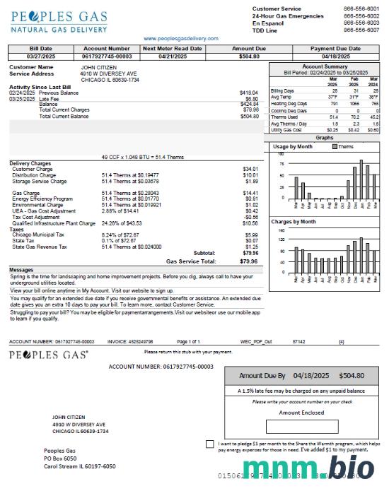 USA Peoples gas rachunek za media szablon w formacie Word i PDF, Wersja 2